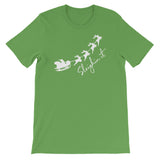 Sleighin it Women's Christmas Shirt