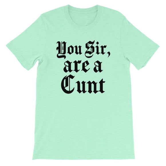 You Sir, are a C**t Women's Shirt